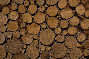 wall texture round cut wood