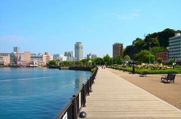 春の公園　神奈川県横須賀市ヴェルニー公園の風景
