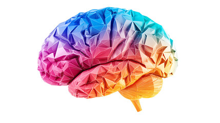 Colorful Geometric Brain Illustration on White Background