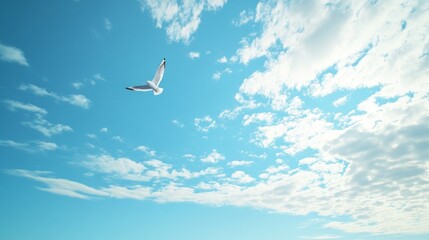 Lone Bird in Tranquil Sky, a serene scene of a solitary bird soaring gracefully through a vast, clear blue expanse, embodying peace and freedom in nature.