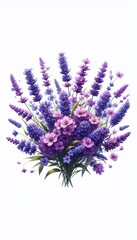 Obraz premium Lavendel