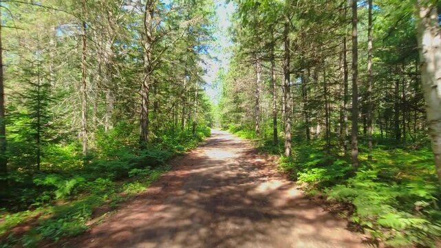 Driving pothole gravel country road at daylight through forest. Wilderness rural travelling. Moving through rocky dirt road in a stone off-road. Driver pov crown land. Remote dangerous location.