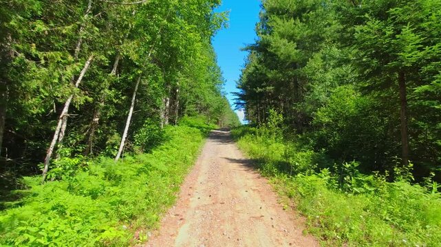 Scenic back view driving plate of dirt road during sunny summer exploration adventure. Driving down mountain muddy off road in western Canada. North America in the country side travel. POV.