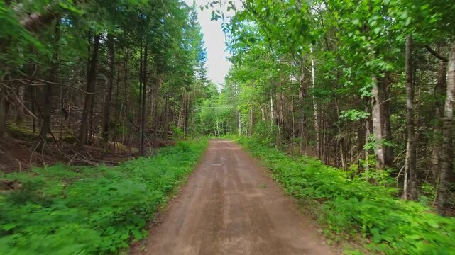 Back view plate on dirty muddy gravel sand road away from civilization Crown Land. Passengers POV view backward driving plate. Roads of Canada. Canadian mountains path, Countryside adventure view.