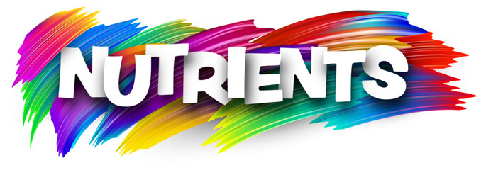 Nutrients paper word sign with colorful spectrum paint brush strokes over white. Vector illustration.