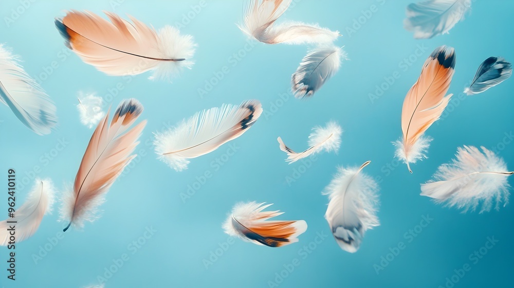 Poster conceptual image of colorful feathers of various sizes gently floating and suspended in the air crea