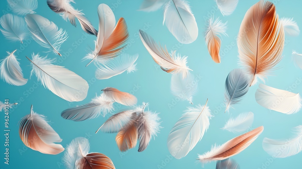 Poster conceptual artwork depicting an array of feathers of various sizes and hues gently floating and drif