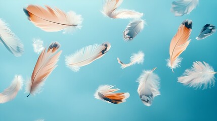 Conceptual image of colorful feathers of various sizes gently floating and suspended in the air creating a serene and ethereal atmosphere  Minimal natural and design