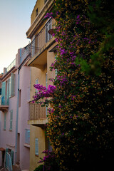 Sunset over Cannes - France