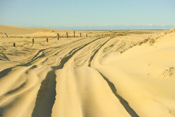Sandy Trails Across Worimi Beach Dunes
