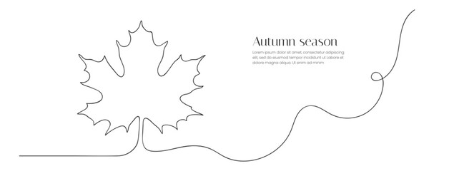 Maple leaf. Continuous line art drawing. Minimalist simple design for autumn concept, Thanksgiving