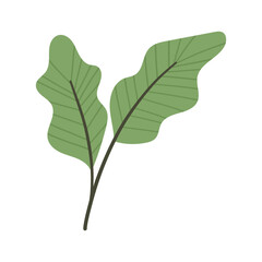 Green leaves illustration