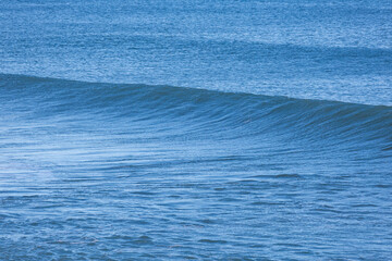 Beautiful wave forming in the blue ocean.