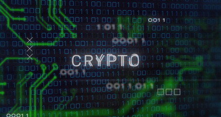 Binary code and CRYPTO text image over digital background