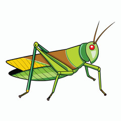a grasshopper vector element illustration