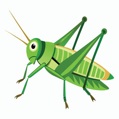 a grasshopper vector element illustration