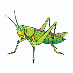 a grasshopper vector element illustration