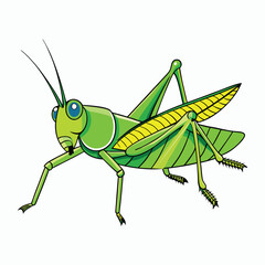 a grasshopper vector element illustration