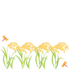 実った稲・稲穂と赤とんぼのイラスト　アスペクト比1：1バージョン © Rica Nohara