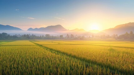 Obraz premium Serene sunrise over lush rice fields with distant mountains and a clear sky.