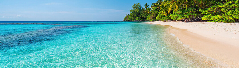 Fototapeta premium Tropical beach with crystal clear water and soft sand, surrounded by lush greenery, creating serene and inviting atmosphere.