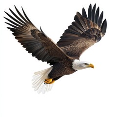 Obraz premium A large eagle is flying in the sky with its wings spread wide