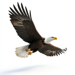 Obraz premium A large eagle is flying in the air with its wings spread wide