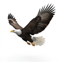 Fototapeta premium A large eagle is flying in the air with its wings spread wide
