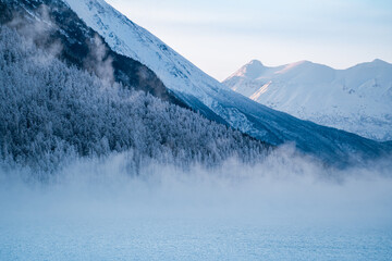 Obraz premium Winter Blues & Ice Fog 