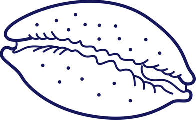 Shell Stock Line Illustration