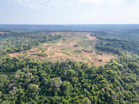 Aerial drone view of a deforested area on top of a plateau being prepared for bauxite mining operations in the Saraca-Taquera National Forest, Brazil