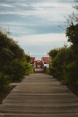 Pathway to the Beach