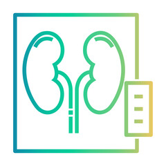 kidney x Line Gradient Icon