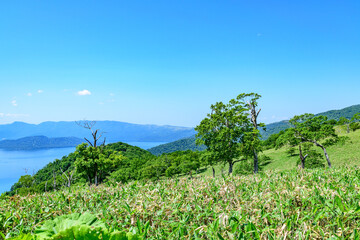 Obraz premium 爽快 北海道 藻琴山展望台 