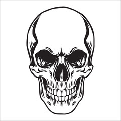 Fototapeta premium Human skull in black and white vector illustration. Tattoo design.