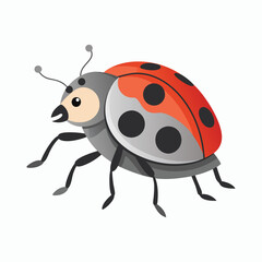  vector ash grey lady beetle vector art walking view