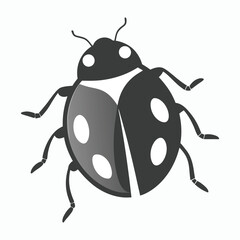  vector ash grey lady beetle vector art walking view