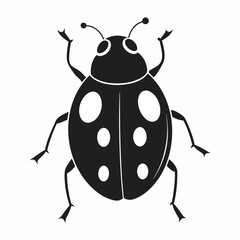  vector ash grey lady beetle vector art walking view