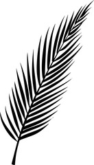 Obraz premium Palm leaf icon silhouette illustration