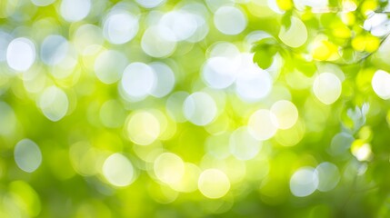 Obraz premium A soft, dreamy bokeh background with overlapping circles in pastel shades of blue, green, and yellow. The abstract light effect creates a soothing and airy atmosphere, perfect for serene designs.