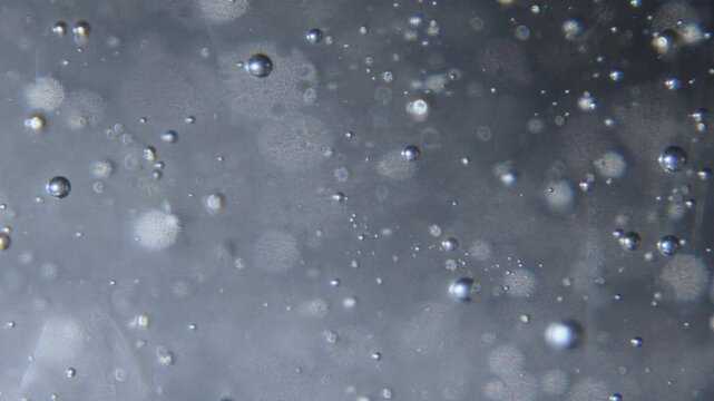 bubbles rising in slow motion with