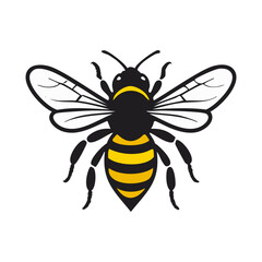 Honey bee isolated on a white background. Vector illustration.