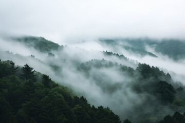 Obraz premium Misty mountains. High mountains and forest. Clouds rise above the forest. Landscape. 