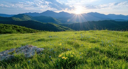 Fototapeta premium Stunning mountain landscape with vibrant wildflowers at sunset