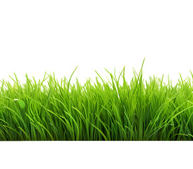 Green grass frame isolated on transparent background