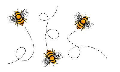 bee and honey