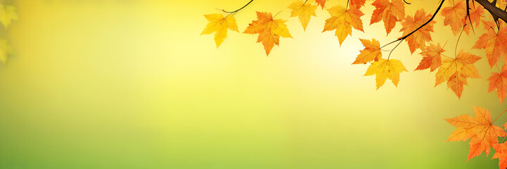 Fototapeta premium Autumn Background with Yellow and Orange Leaves in Sunlight