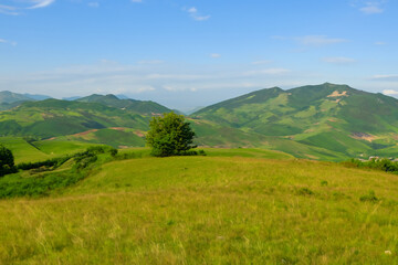 Fototapeta premium Hills Landscape Background