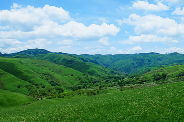 Obraz premium Hills Landscape Background