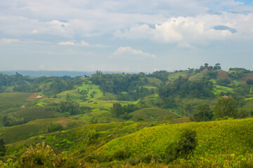 Obraz premium Hills Landscape Background